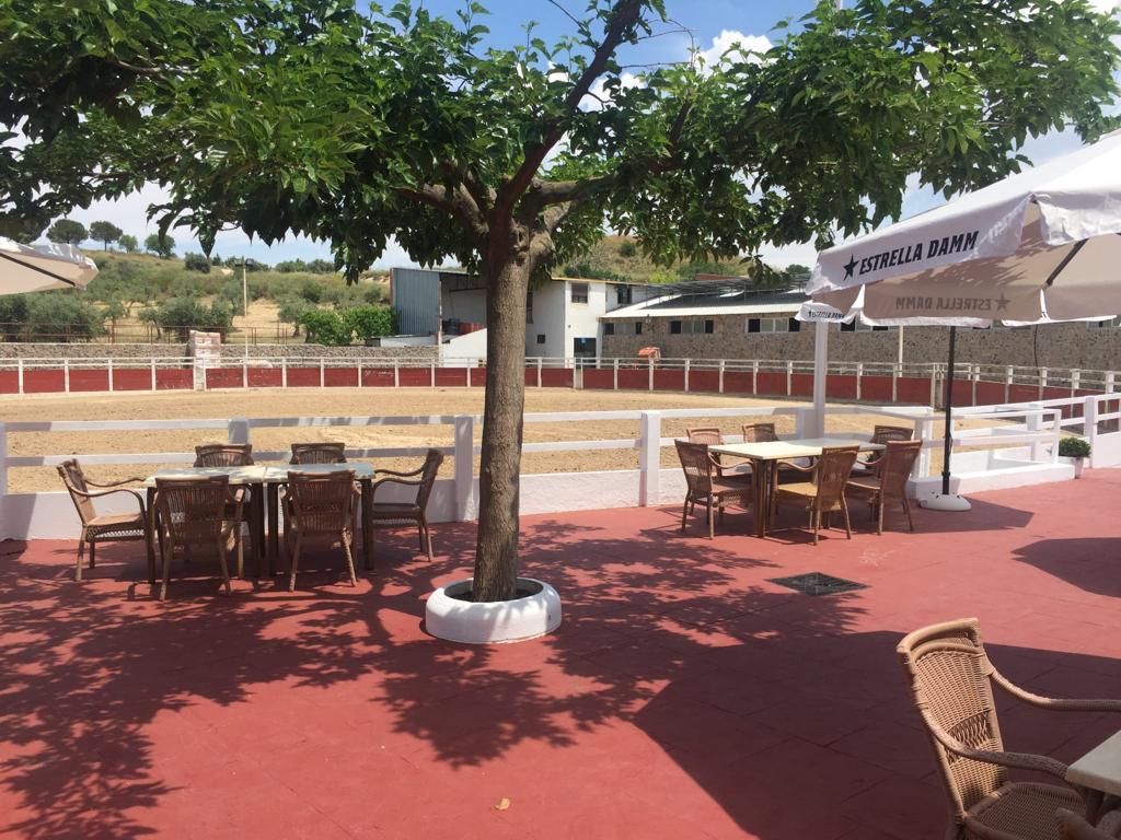 Terraza con vistas al picadero