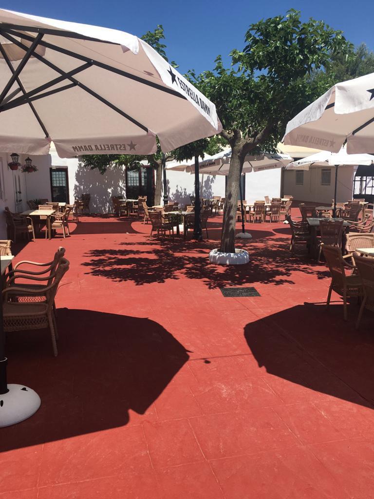 Patio amplio con árboles y mesas