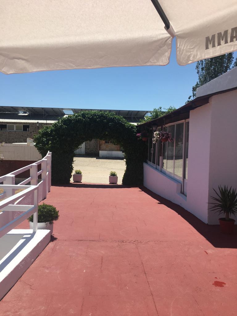 Entrada de la finca con arco de hiedra